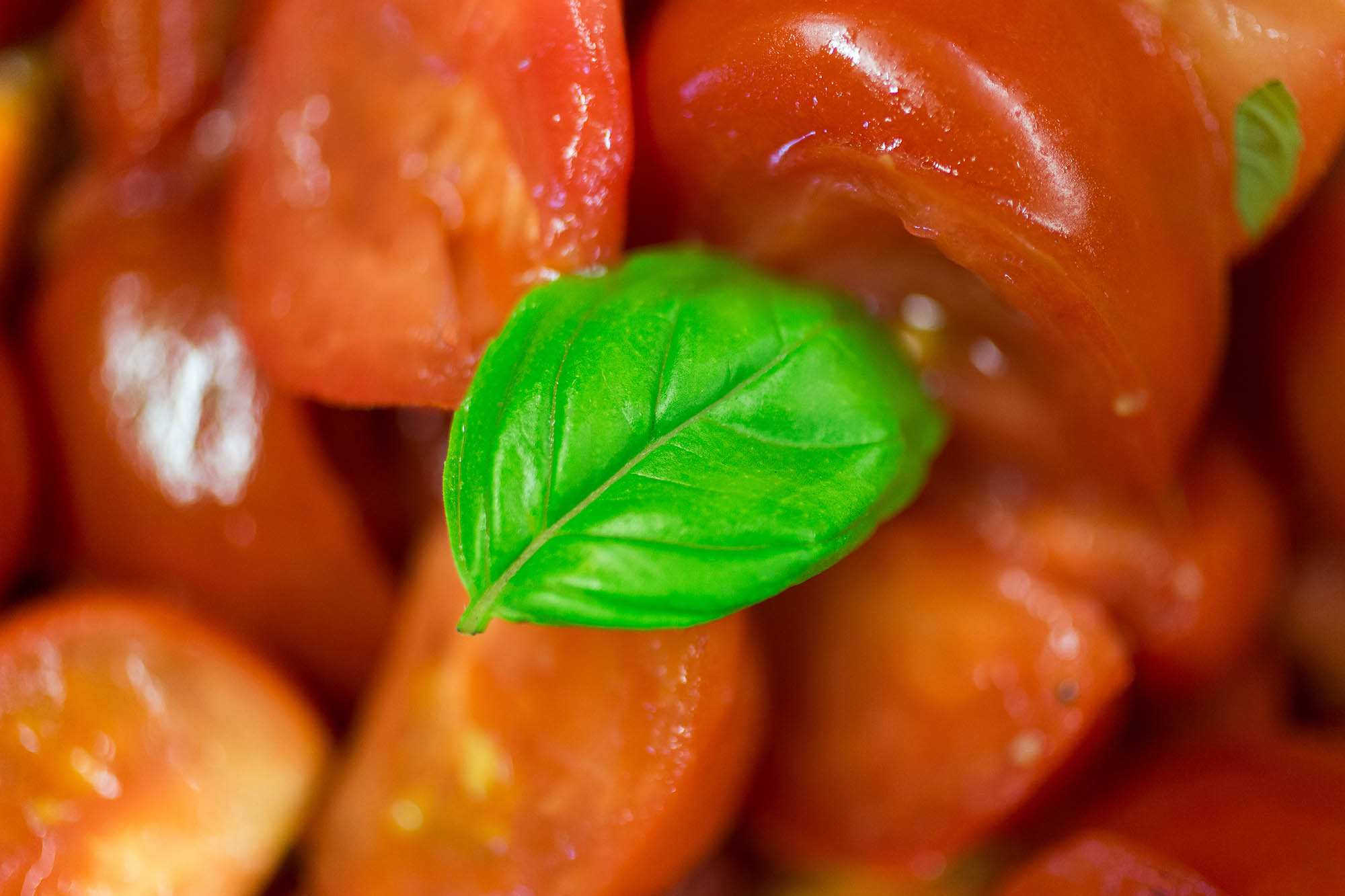 Food photography