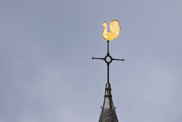 Polly_Dan_250915_002