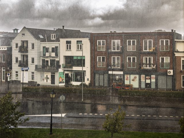 Polly_Dan_250915_026