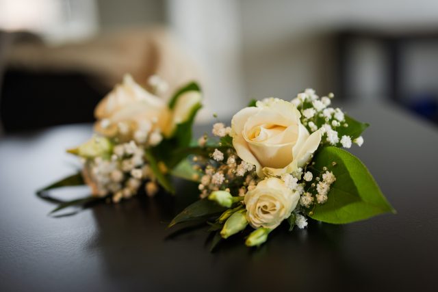 Polly_Dan_250915_070