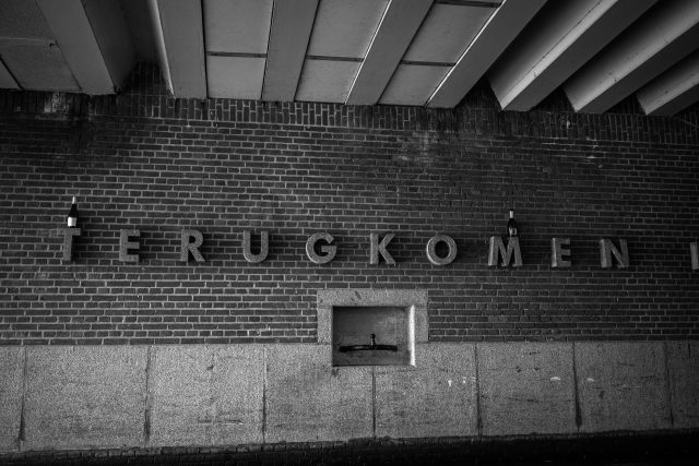 Polly_Dan_250915_438