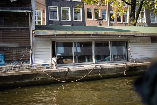 Polly_Dan_250915_452